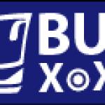 busxoxo Profile Picture