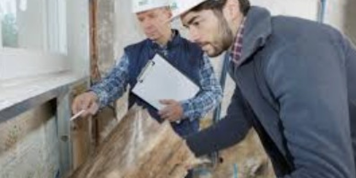 Restoring Hidden Spaces: Biohazard Cleaning Services’ Expert Loft, Cellar, and Basement Cleaning