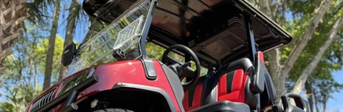 LEISURE PRODUCTS EVOLUTION GOLF CART DEALER Cover Image