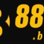 Boats 888B Profile Picture