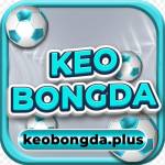 Kèo Bóng Đá plus Profile Picture