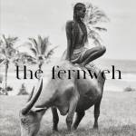 the fernwehbal Profile Picture