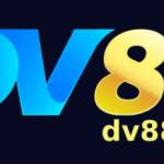 DV88BIZ Profile Picture
