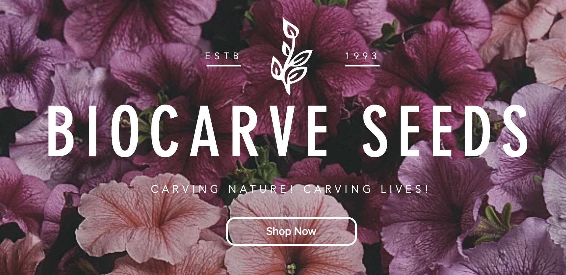 Buy Indian Summer Vegetable Seeds Online in India | Biocarve Seeds