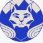 BobCat Cleans Service Profile Picture