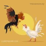 Thomohomnay Profile Picture