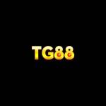 TG88 Net Profile Picture