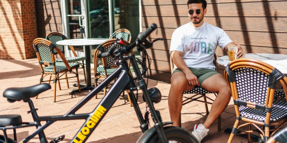 Leoguar E Bikes | Leoguarbikes.com