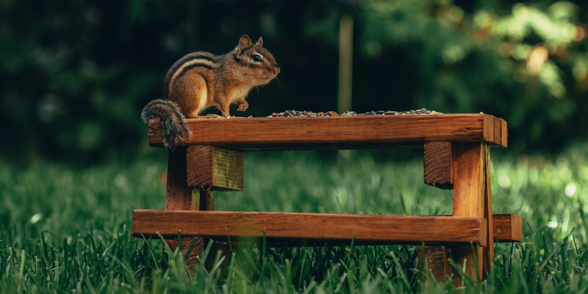 Titan Pest and Wildlife Solutions – Kansas City’s Trusted Experts for Safe & Humane Wildlife Removal