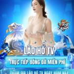 laoho tv Profile Picture