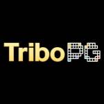 Tribopg Casa de Apostas Profile Picture