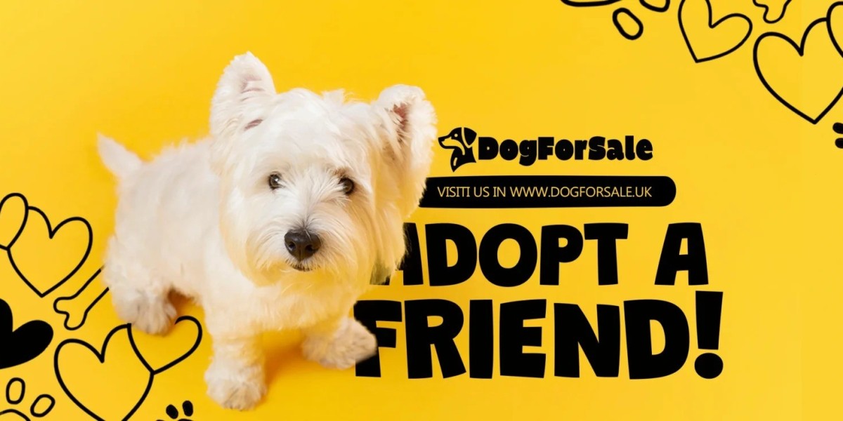 Dog For Sale: The Gritty Streetwear Brand Redefining Urban Edge