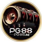 PG88 ltd Profile Picture