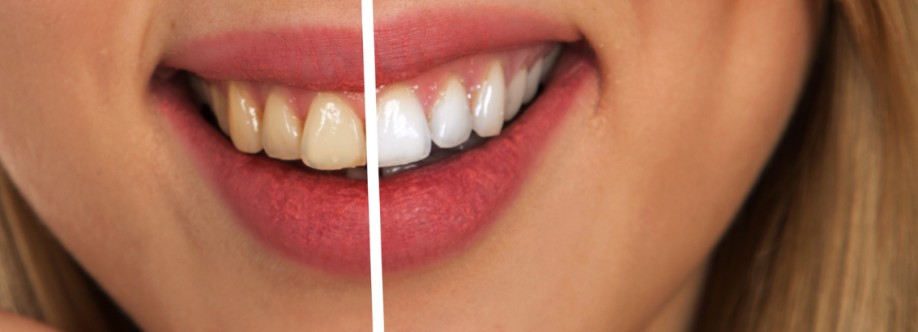 Mayfield Dental Cover Image