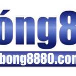 bong8880com3 Profile Picture