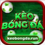 Kèo Bóng Đá run Profile Picture