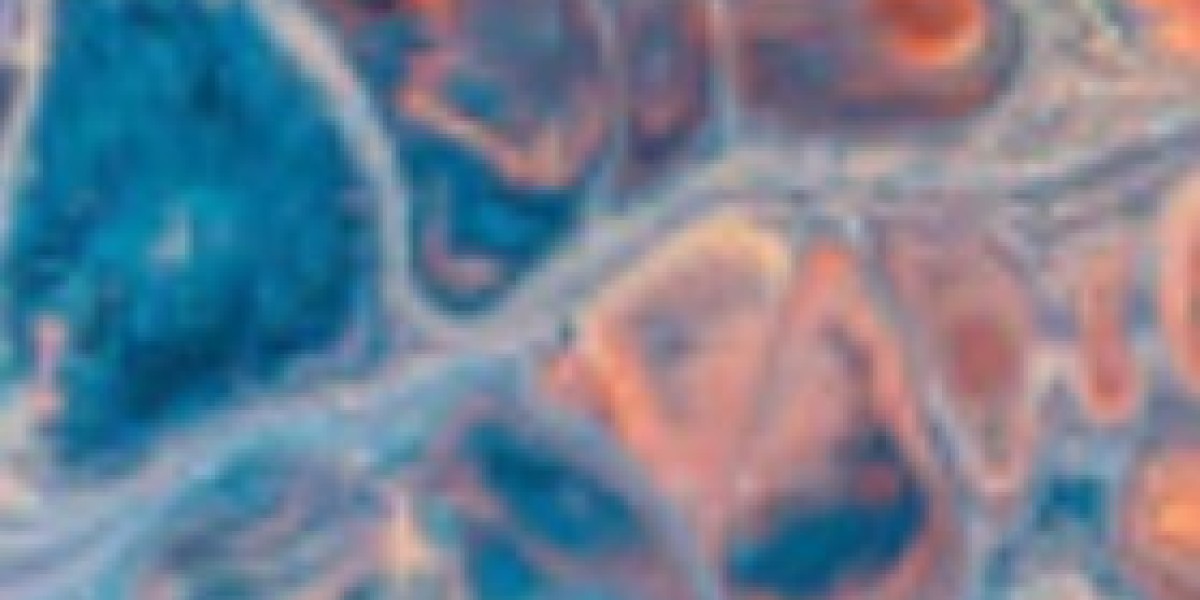 STEMart Launches Comprehensive Flow Cytometry Services for Improved Cellular Analysis