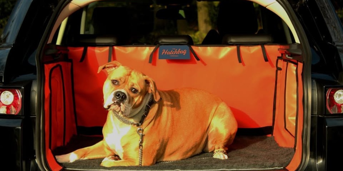 Toyota Boot Liners: The Everyday Essential That Makes Life Easier