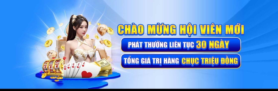 Shielddamen decom Cover Image