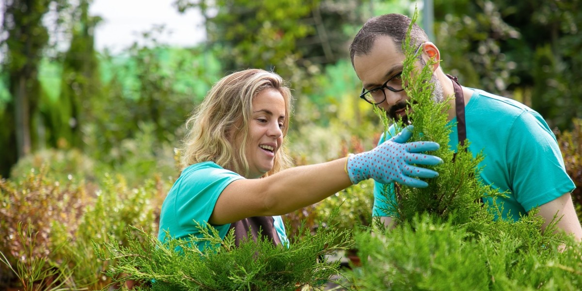 Eco-Friendly Landscaping and Lawn Care Services for Lubbock Homes and Businesses