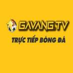 GavangTV Xem bóng đá trực tiếp Full HD Profile Picture