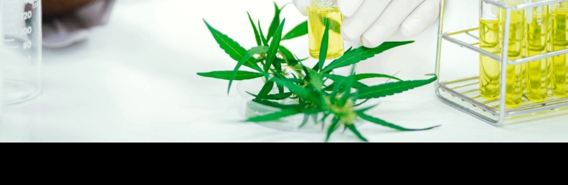 SJ Labs Analytics Cover Image