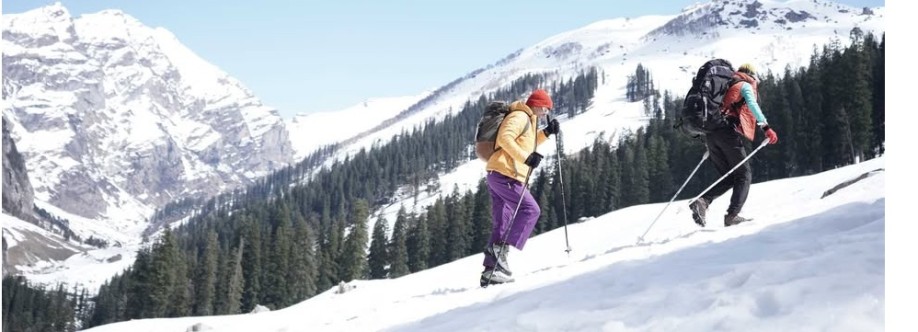 Kosha Winter Wear Cover Image