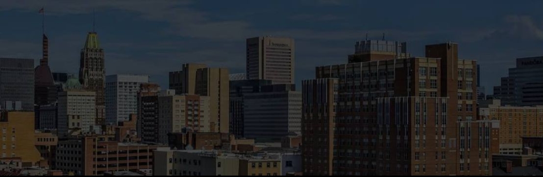 The Mt Washington Group Cover Image