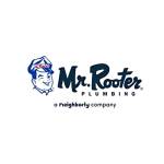 Mr Rooter Plumbing of Ohio Valley Profile Picture