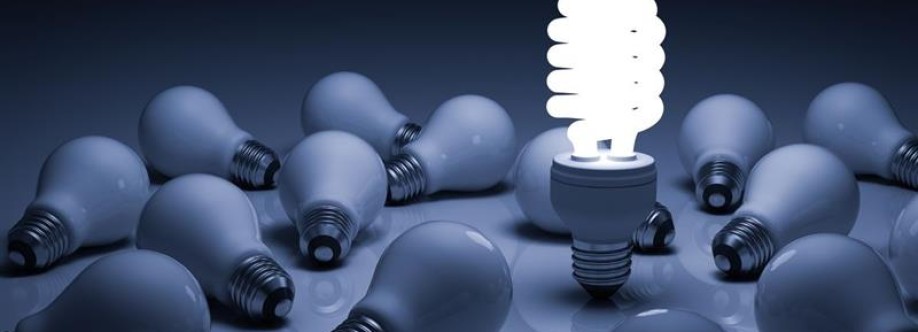 The Electrician Cover Image