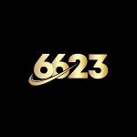 6623 chat Profile Picture