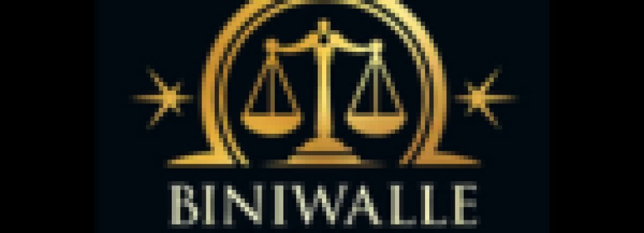 BiniwalleAssociates Cover Image