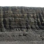 How Do the Best Humic Acid Extraction Products Deliver Excellent Benefits? - Tumblrblog