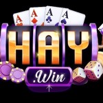 Hay win Profile Picture