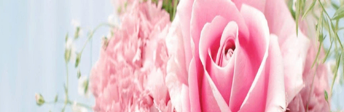 Đẹp Không Tưởng Cover Image