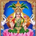 Ramesh kumar Profile Picture