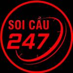 soicau247us Profile Picture