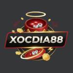 Xocdia88 nyc Cổng Game Xóc Đĩa Uy Tín Hàng Đầu Việt Nam Profile Picture