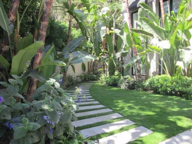 Tree Experts in Houston - Texastreeexpert.com