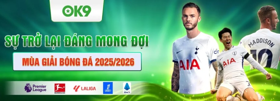 ok9vipapp Cover Image