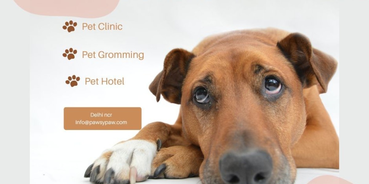 Buy Pets Online with Pet Classifieds at Pawsy Paw