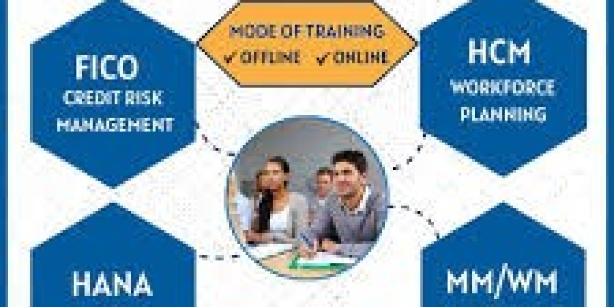 S.A.P institute in Ameerpet