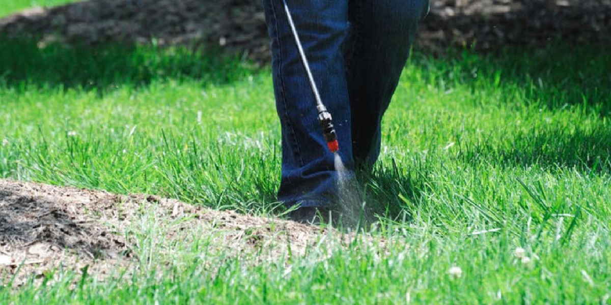 Debunking Common Myths About Lawn Care in Kansas City
