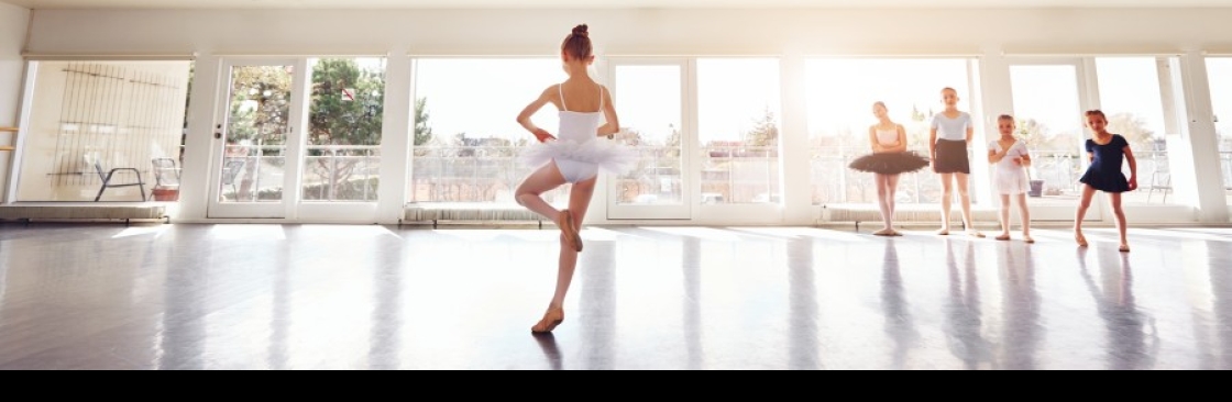 Dance Master Pro Cover Image