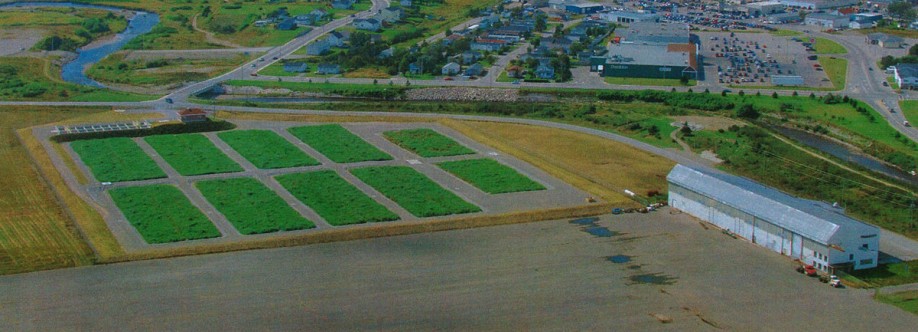 Wetland Treatment Solutions Cover Image