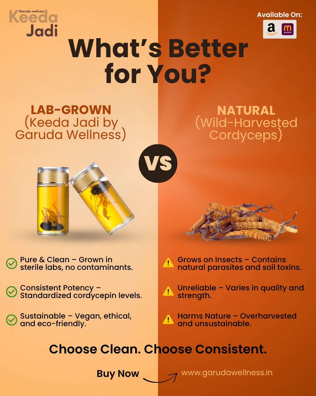 Keeda Jadi Price in India: What You Need to Know Before You Buy