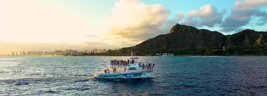 party boat waikiki Cover Image