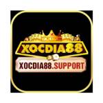 Xocdia88 Profile Picture