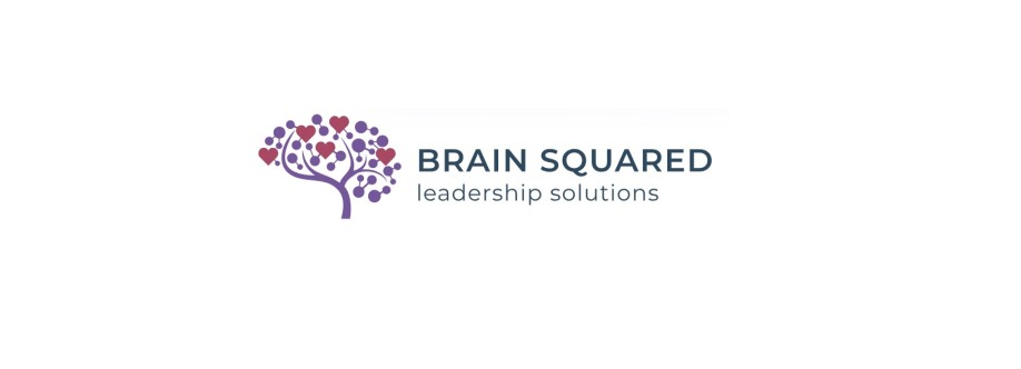 Brain squared Solutions lnc Cover Image