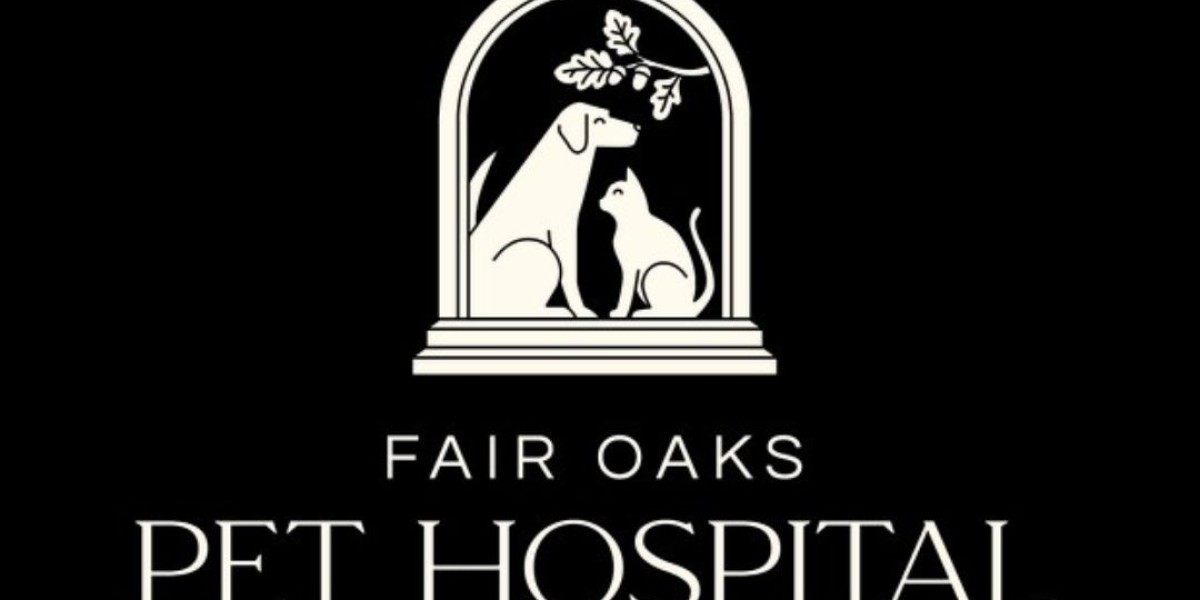 How Often Should Dogs And Cats Get A Wellness Exam In Fair Oaks Appointments Fair Oaks